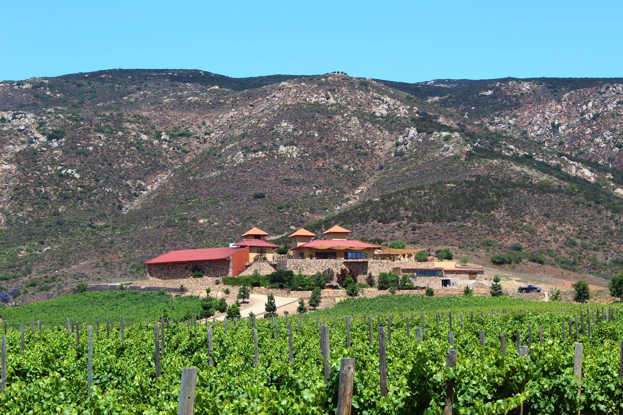 Luxury 7BR Villa Vizcaya