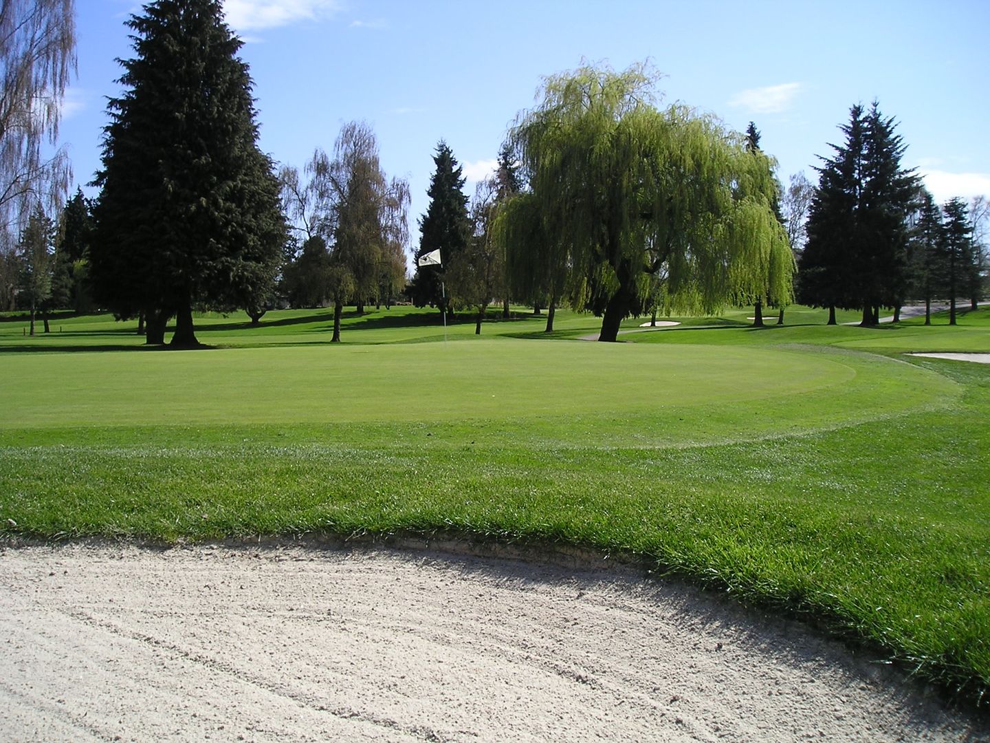 Golf at Spring Hill Golf Club